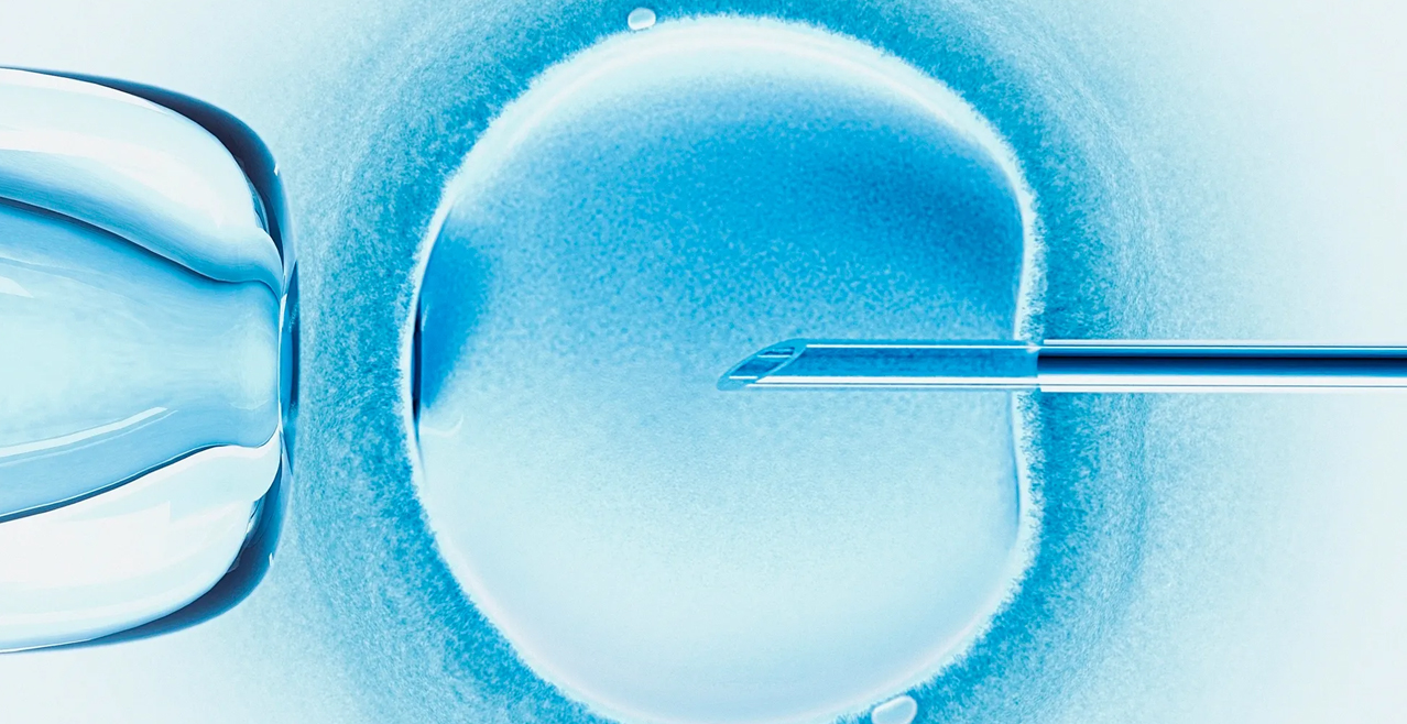 In Vitro Fertilization (IVF)